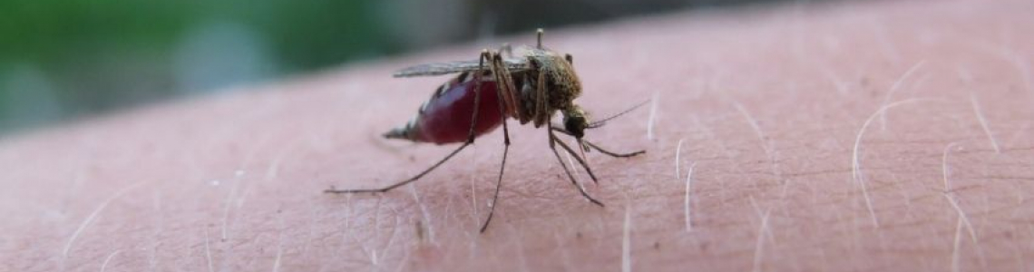 Webinar "LA MALARIA NELLA TERRA PONTINA: ASPETTI STORICI, MEDICI E SOCIALI", 25/05/2021